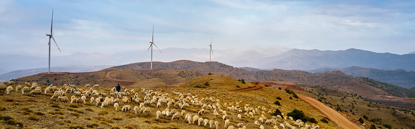Erciyes Wind Power Plant | WPP | Enerjisa Üretim