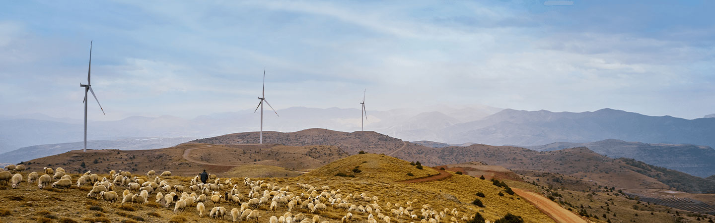 Yeşil Enerji | Enerjisa Üretim