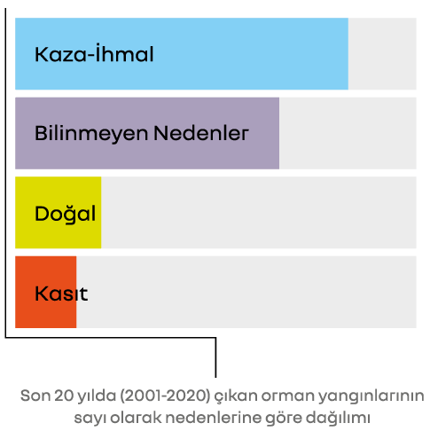 Türkiye'de Orman Yangınları Neden Çıkıyor? | Enerjisa Üretim