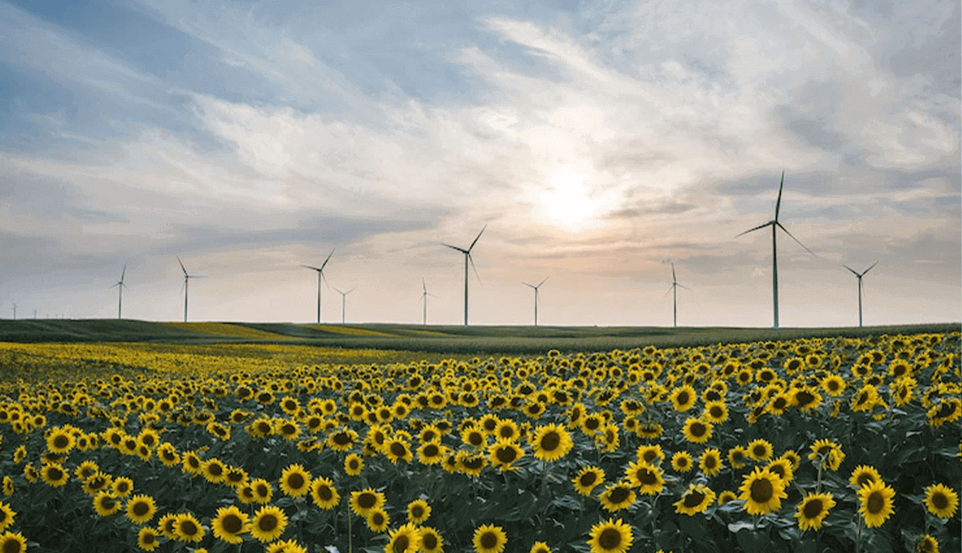 Rüzgâr Enerji Santrallerinin Avantajları | Enerjisa Üretim