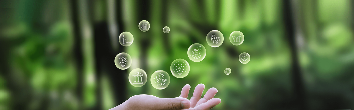 Çevre Süreçlerini Keşfedin | Sürdürülebilir Enerji | Enerjisa Üretim